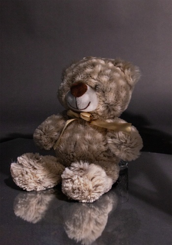 Kleiner Teddy