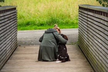 Die stützende Hand der Tiere